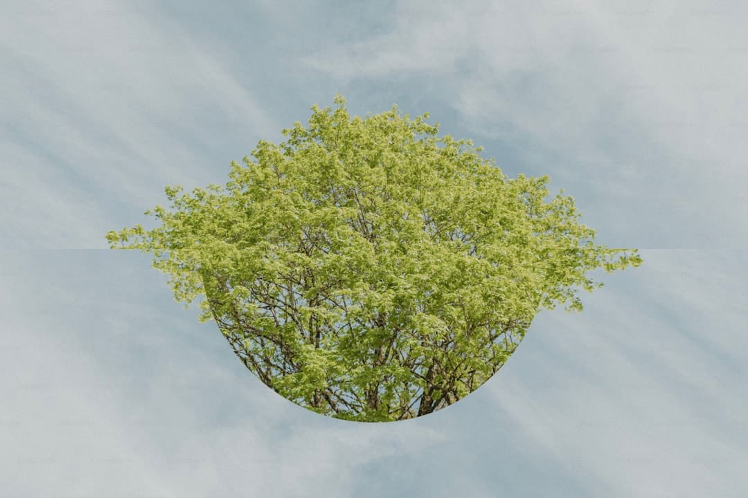 人教版语文教材，新增这篇课文！